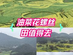 -牛街螺丝田
