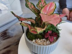 -宁波宝信宝马4S店(江北日湖店)