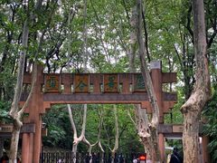 -灵谷景区