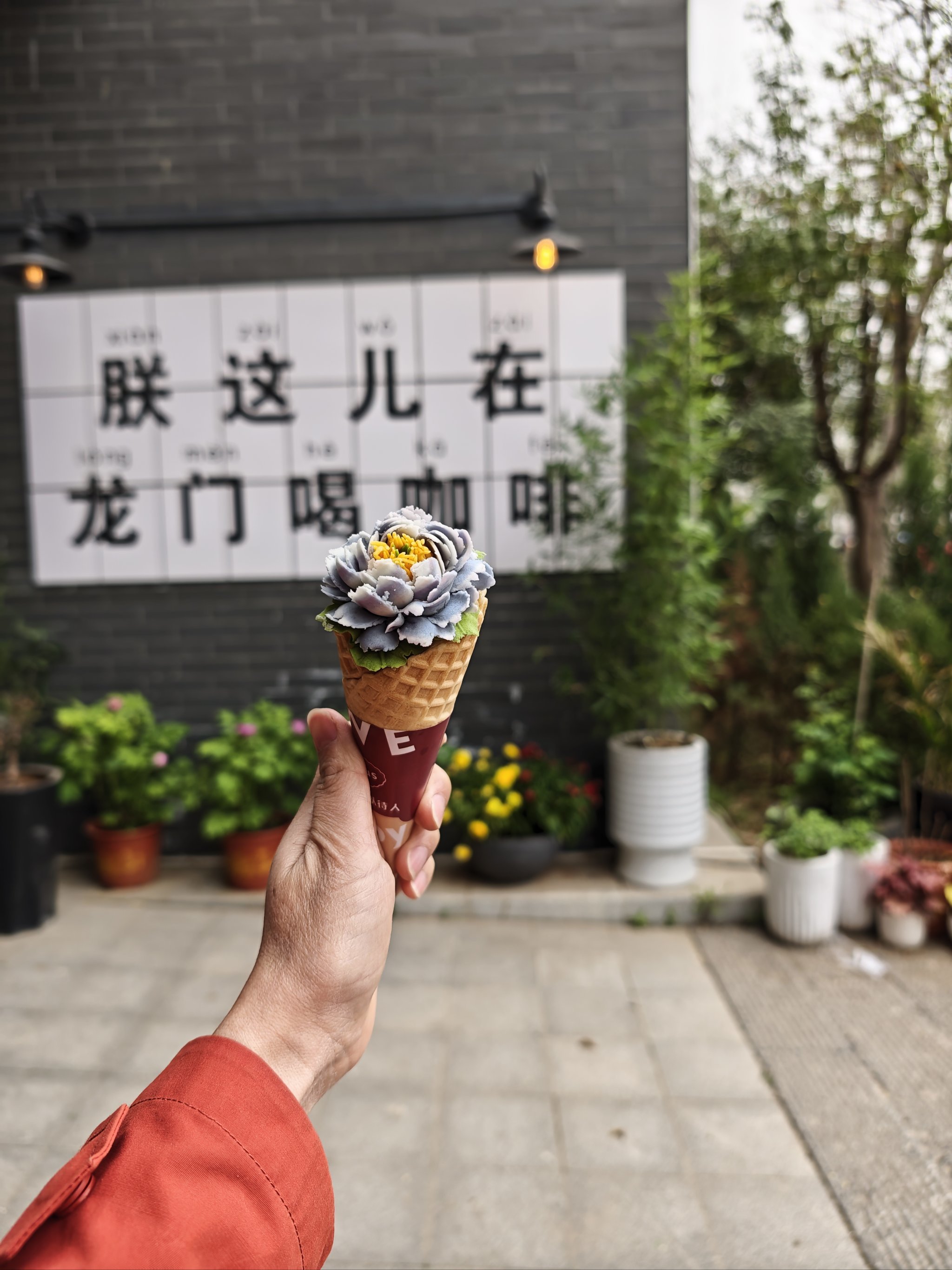 洛阳牡丹冰激凌,必打卡