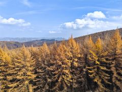 -苏木山森林公园