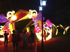 -映月湖公园