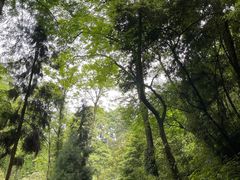 -青城山