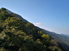 -满記土窑烧鷄波浪山莊