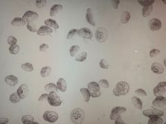 -沈阳海洋探索中心