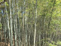 -穹窿山景区