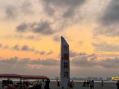 -东郊椰林
