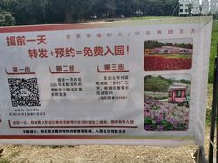 -秀丽东方