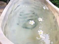 -100蛋泥浆浴