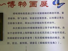 -上海昆虫博物馆