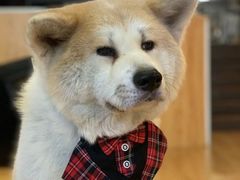 -YCHL Studios健身工作室(市二宫店)