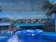 -海合安成都极地海洋公园