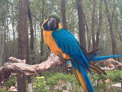 -北京野生动物园