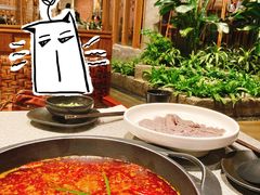 -园里火锅(仁和新城店)