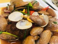 爆炒大芒果螺-春园海鲜广场D区6号(钟姐海鲜加工店)