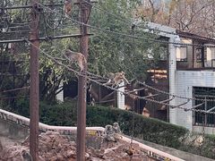 -昆明动物园