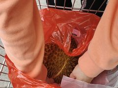 -龍歌自助小火锅(市北CBD万达店)