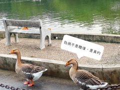 -南宁市动物园