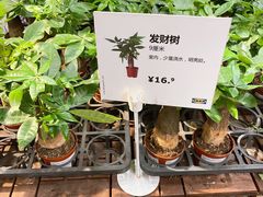 -IKEA宜家家居(南京商场)