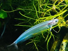 -青岛海底世界-水族馆