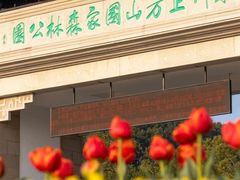 -苏州上方山国家森林公园