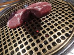 -唯成•韩国炭火烤肉 유성고기