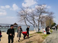 -瑶湖郊野森林公园