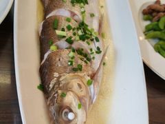 清蒸白条-樟树底(胜利河美食街店)
