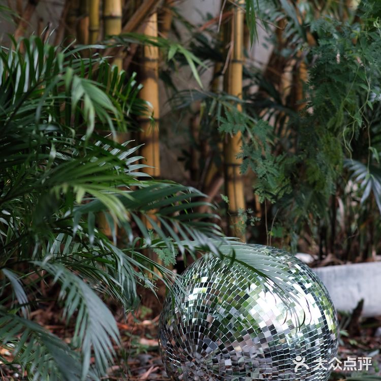         嗯☕️这里还真的挺不错🌟🌟🌟🌟