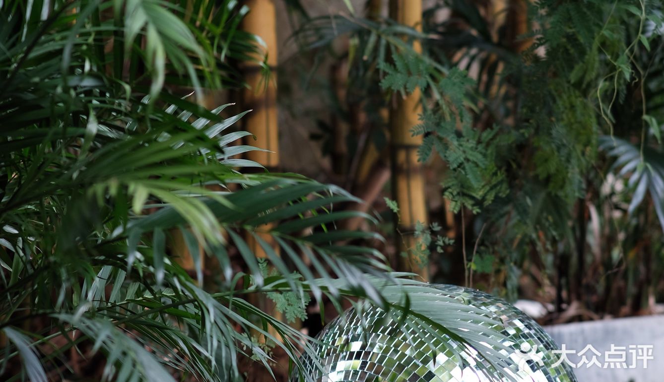         嗯☕️这里还真的挺不错🌟🌟🌟🌟