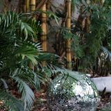         嗯☕️这里还真的挺不错🌟🌟🌟🌟