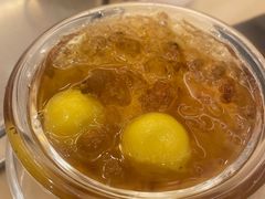 -锦粤宫·精致粤菜(深圳北站店)