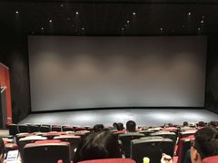 放映厅-中影国际影城(CINITY LED横岗店)