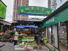 -曲阳花鸟市场(曲阳路店)