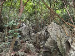 -杭州西湖风景名胜区-三生石