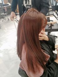 -程Studio