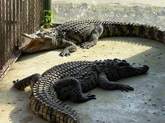 -秦皇岛野生动物园