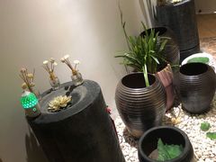 -汤臣海派理疗公馆