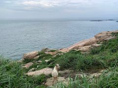 -东极岛景区