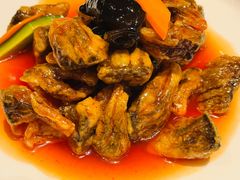 -燕春楼(海河华鼎店)