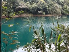 -鼎湖山风景区