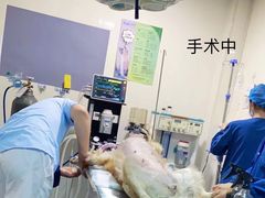 -特一安24小时宠物医院·骨科·中兽医