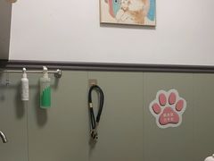 -伟伟宠物医院·瑞派猫友好医院·猫科(光谷店)