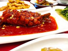 松鼠鲈鱼-侬佳蒸菜馆(听潮店)