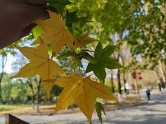 -长春公园(普阳街道)