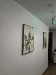 -薇薇安花系SPA