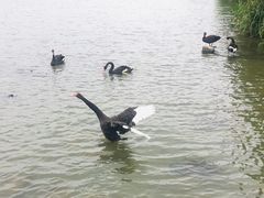 -南通濠河风景名胜区