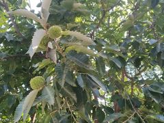 -南窖乡水峪村山情农家