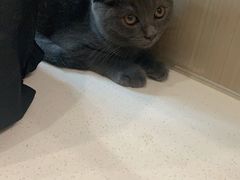 -佳雯宠物医院(四明中路分院)