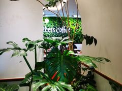 -Peet's Coffee皮爷咖啡(上海长风大悦城店)